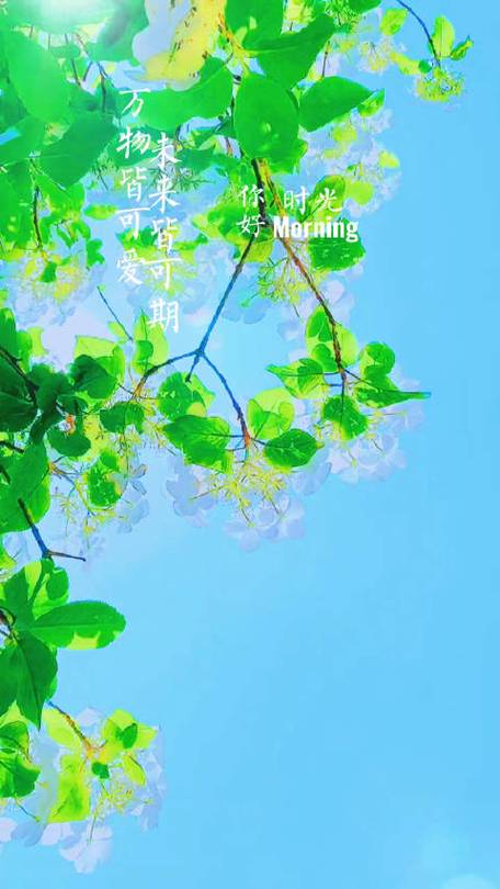 美好的一天从今天开始更新内容