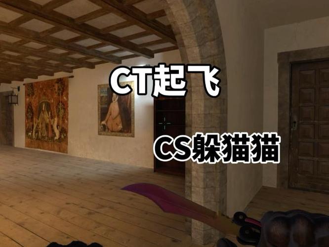 CS2躲猫猫官方正版下载入口游戏截图