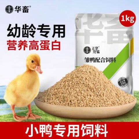 喂鸭子用什么饲料最好游戏截图