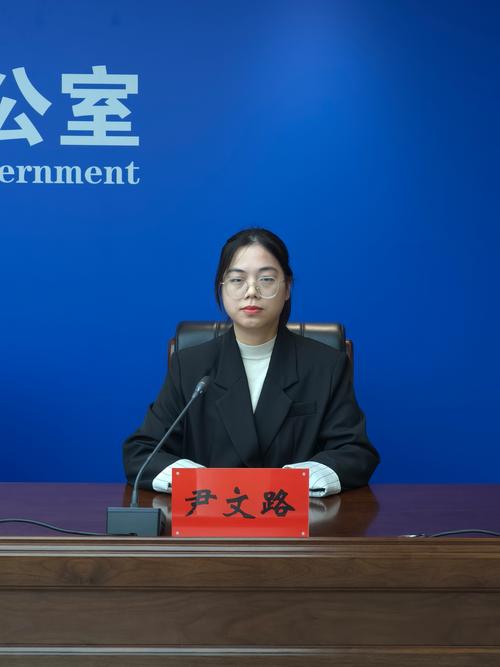 现在政府查贾木云了没有ol图标