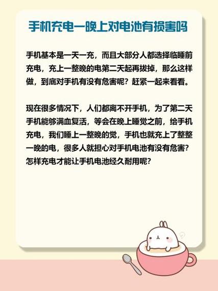 手机充一晚上电会损坏电池吗缩略图