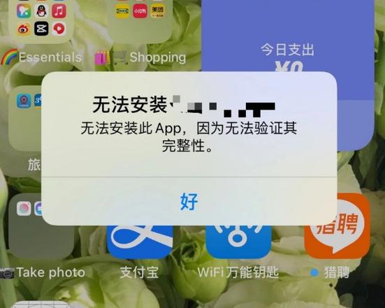 苹果手机安装不了软件的原因缩略图