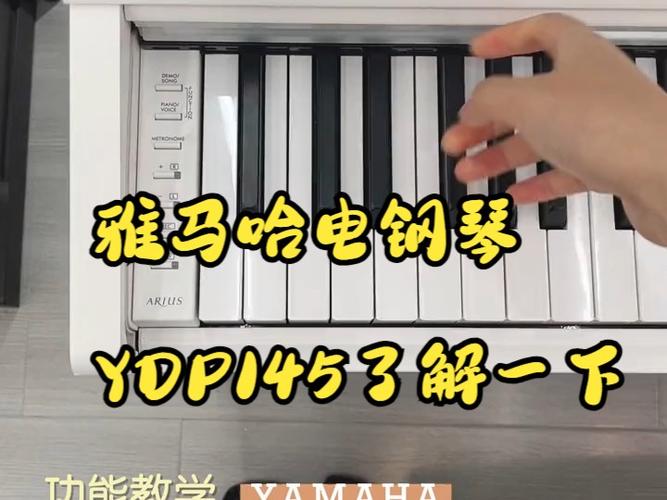 雅马哈电子琴功能键图解缩略图