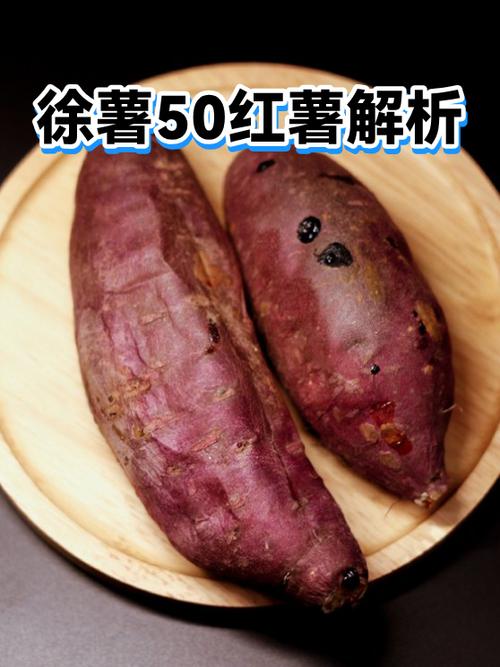 徐薯50红薯品种介绍缩略图