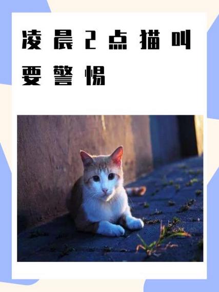 猫突然不见了要警惕缩略图