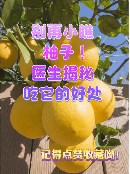 病毒感染可以吃柚子吗缩略图