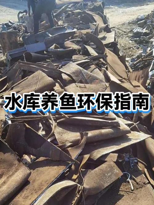 水库养鱼最佳方案图标