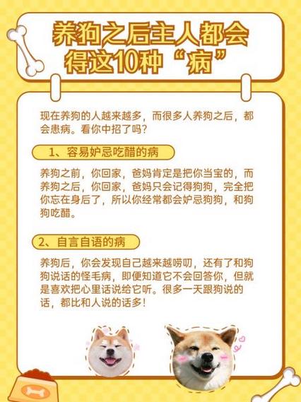 养狗的人容易得病吗缩略图
