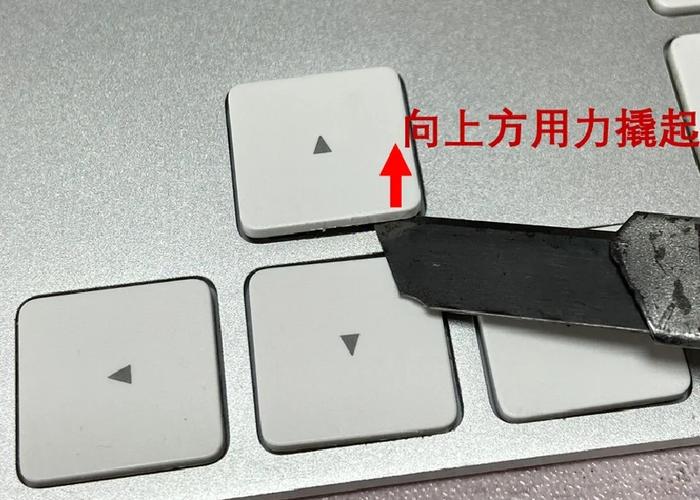 苹果键盘全没反应了按什么键恢复缩略图