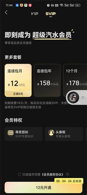 svip和超级会员一样吗缩略图
