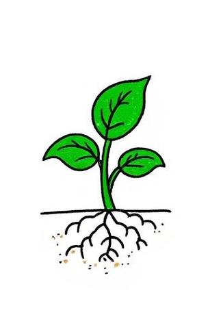 发绿豆芽的工具图标