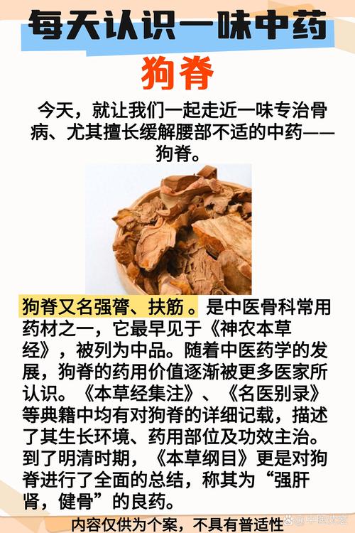 为什么土狗吃骨头没事缩略图