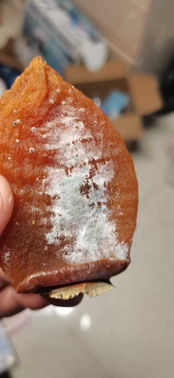 柿饼坏了最明显表现缩略图