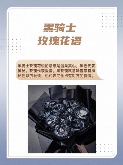 黑玫瑰代表的含义缩略图