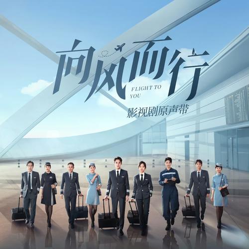 向风而行电视剧免费观看全集完整版缩略图