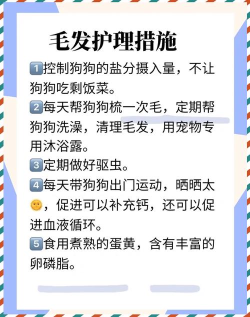 猫背上秃了一块毛是怎么回事缩略图