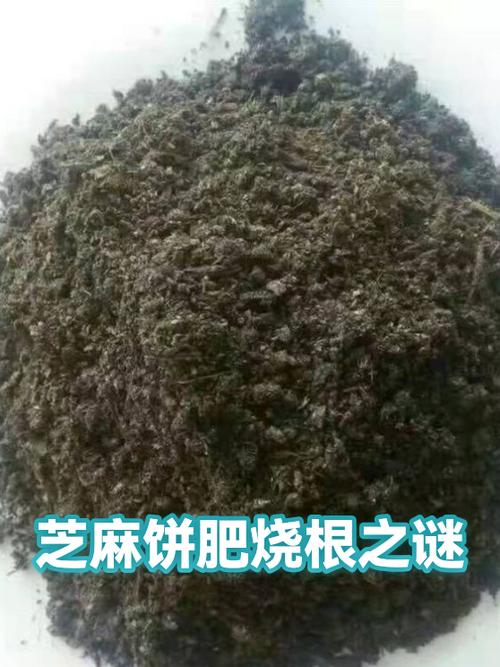 芝麻饼热量高吗图标