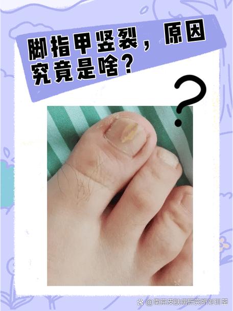 表示形状多的四字词语图标