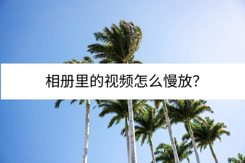 手机相册视频慢放的方法缩略图