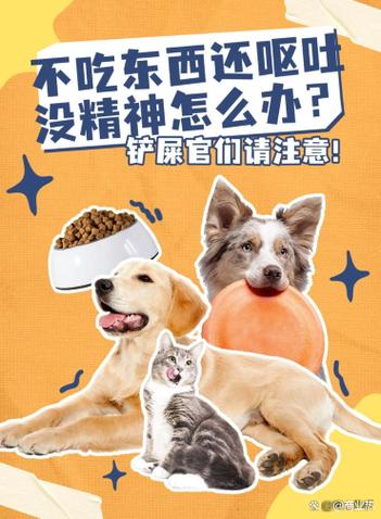 狗狗不吃东西还呕吐没精神怎么办缩略图