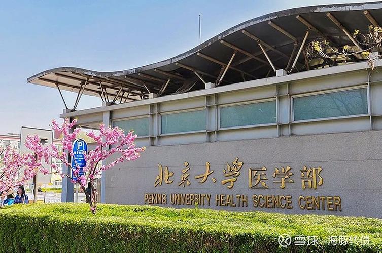 张雪峰谈北京大学医学部缩略图