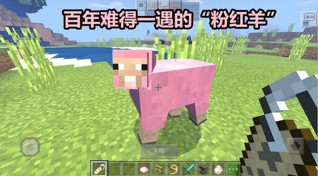 我的世界粉红色染料怎么做缩略图