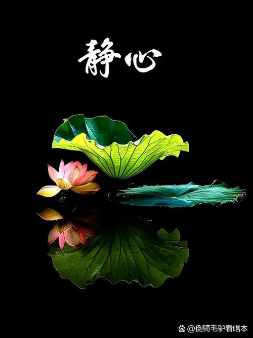 如何让流动的水水静止缩略图