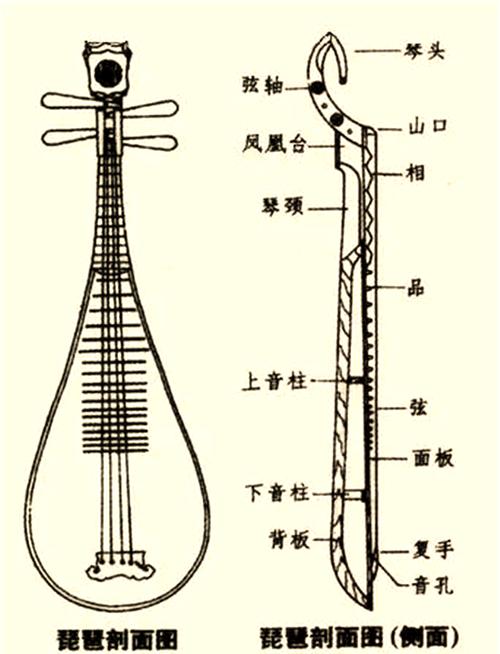 南音的名字寓意是什么意思啊缩略图
