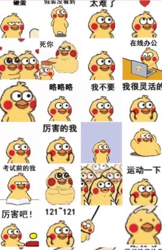 小鸡仔表情包图片大全缩略图