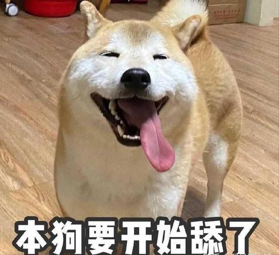 女人说你舔狗暗示什么缩略图