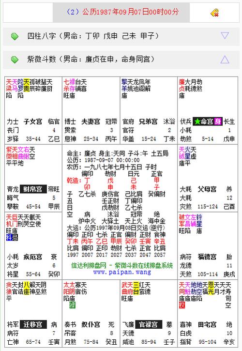 文墨天机紫微斗数在线缩略图