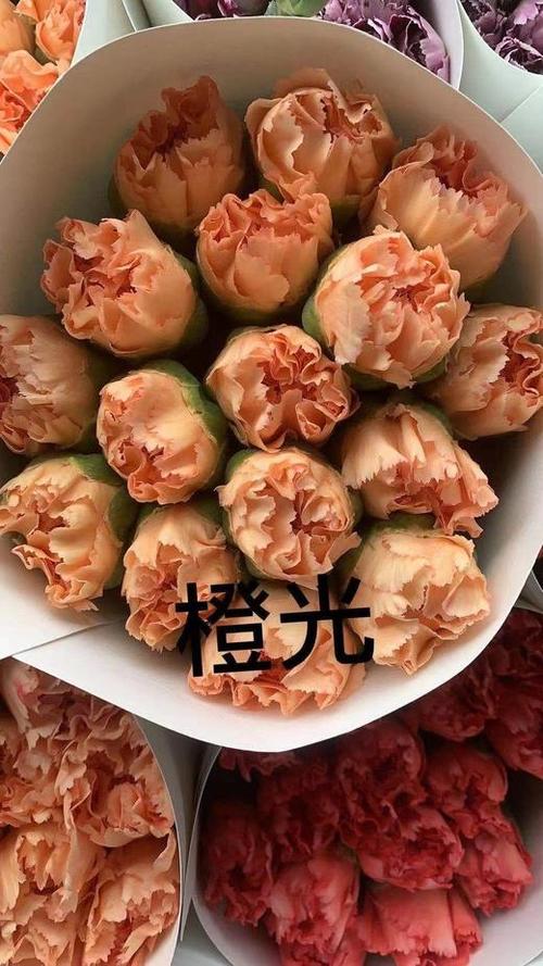 橙光游戏怎么分享获得鲜花游戏截图