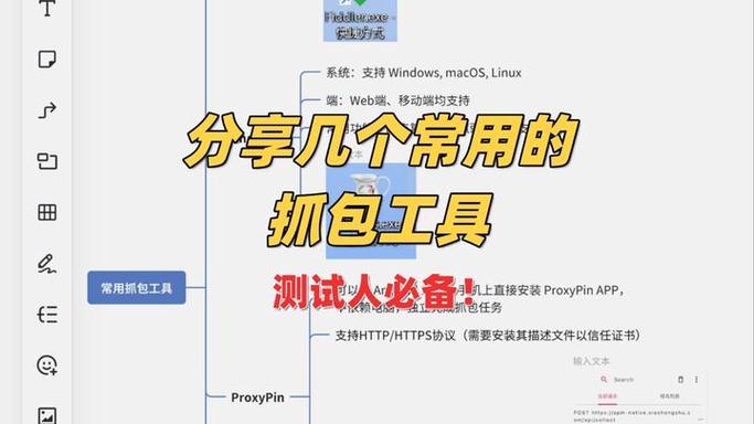 黄鸟抓包证书安装教程图标