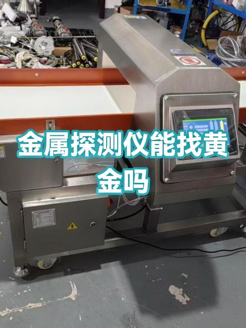 金属探测仪器能找到黄金吗缩略图