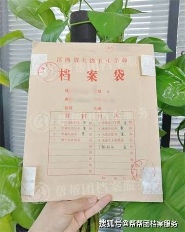 档案找不到了怎么办缩略图