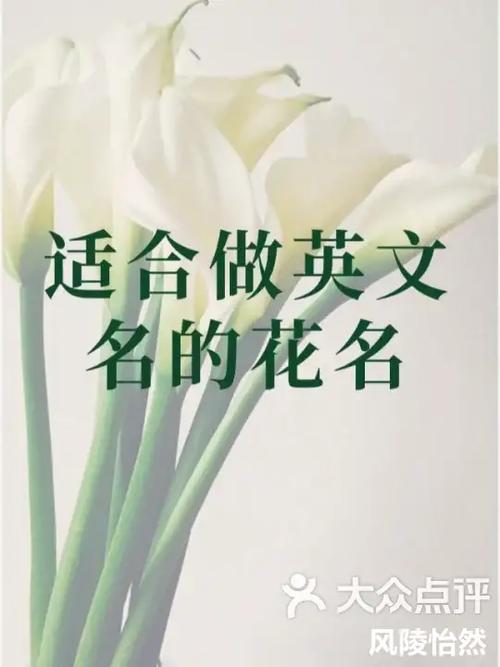 忧郁id小众英文缩略图