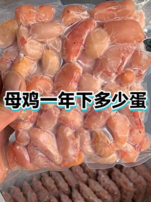 母鸡下几年蛋就不下了游戏截图