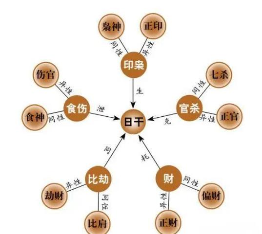 免费四柱八字算命详解图标