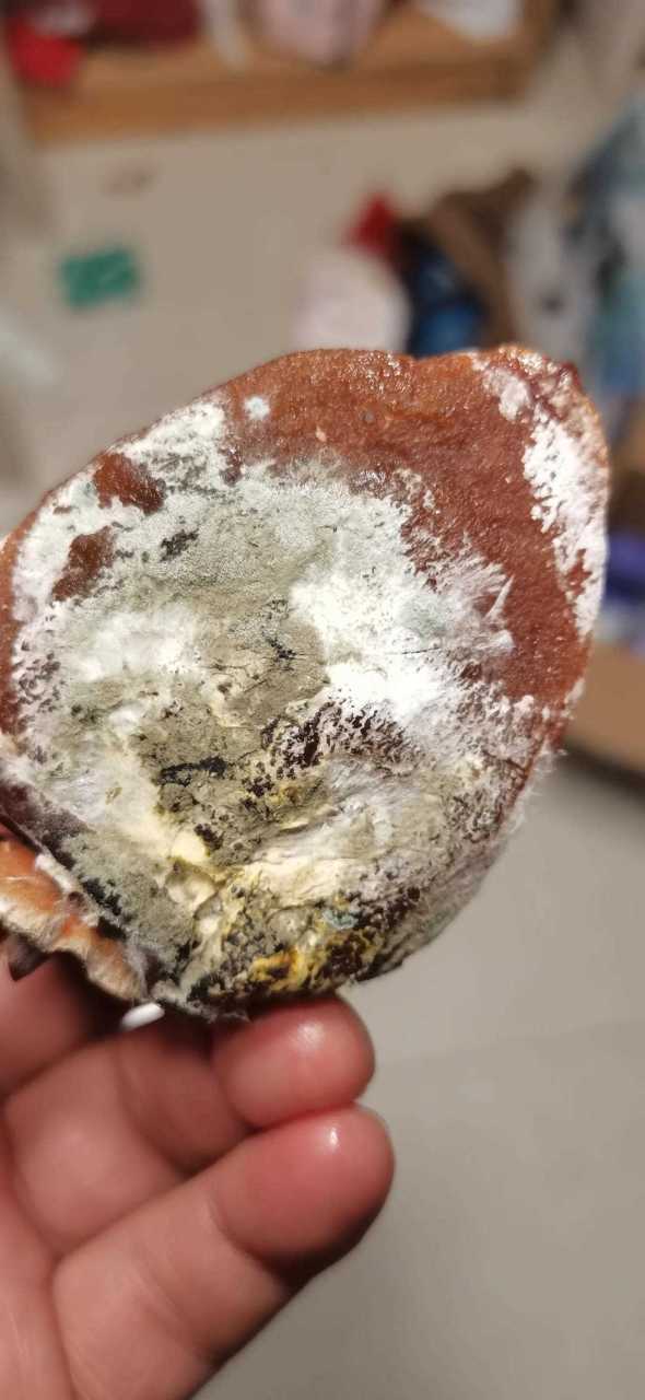 柿饼过期可以吃吗缩略图