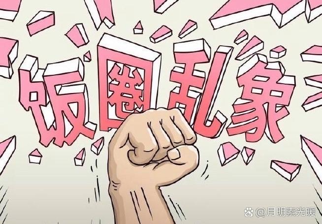 npc在饭圈是什么意思