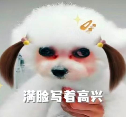 如何下载表情包到微信缩略图