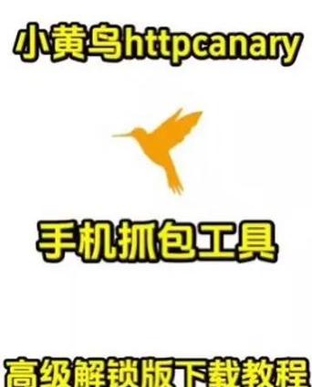 黄鸟抓包破解软件教程缩略图