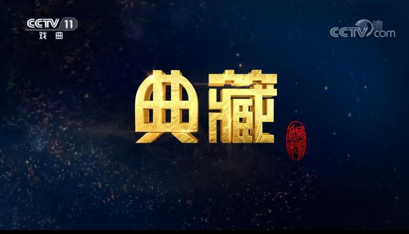 中央电视台的主要频道缩略图