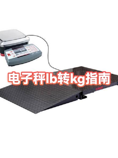 商用电子秤和家用电子秤有什么区别游戏截图