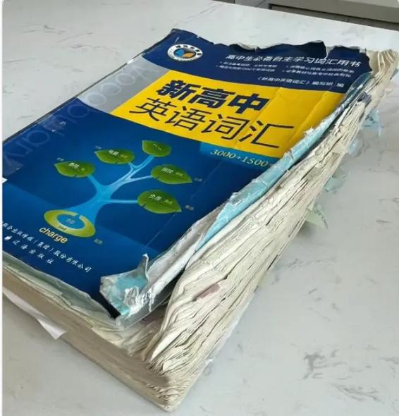 维克多高考英语3500词汇表缩略图