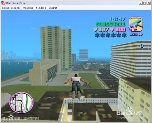 gtasacleo主程序OLEO图标