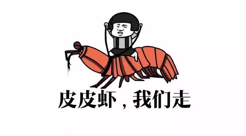 皮皮虾什么意思网络语缩略图