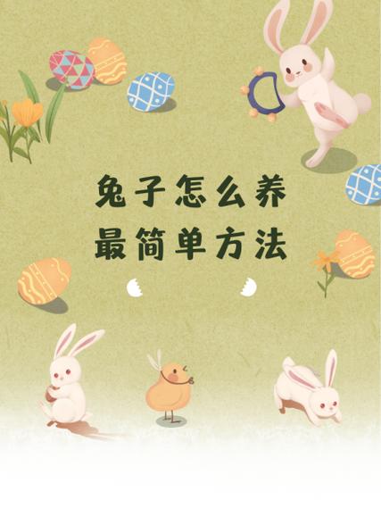 小兔子照顾方法有哪些缩略图