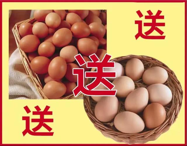 全民k歌送鸡蛋意思缩略图