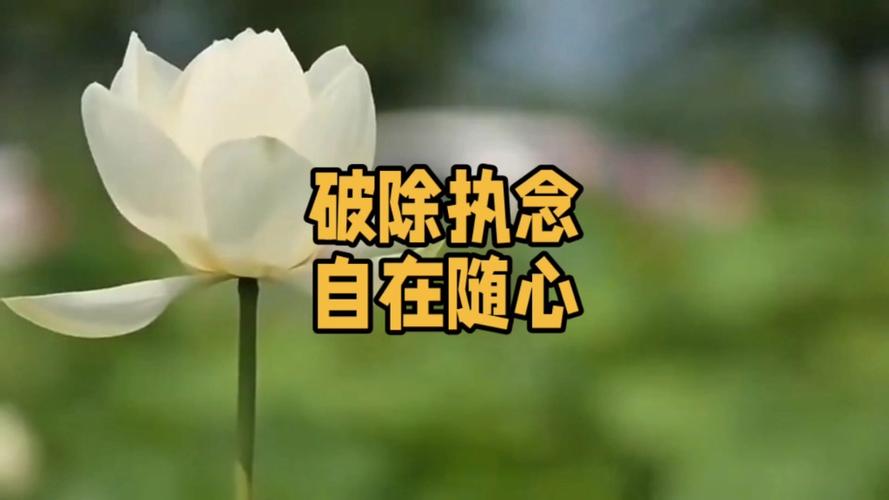 电脑桌面图标随意摆放的软件图标